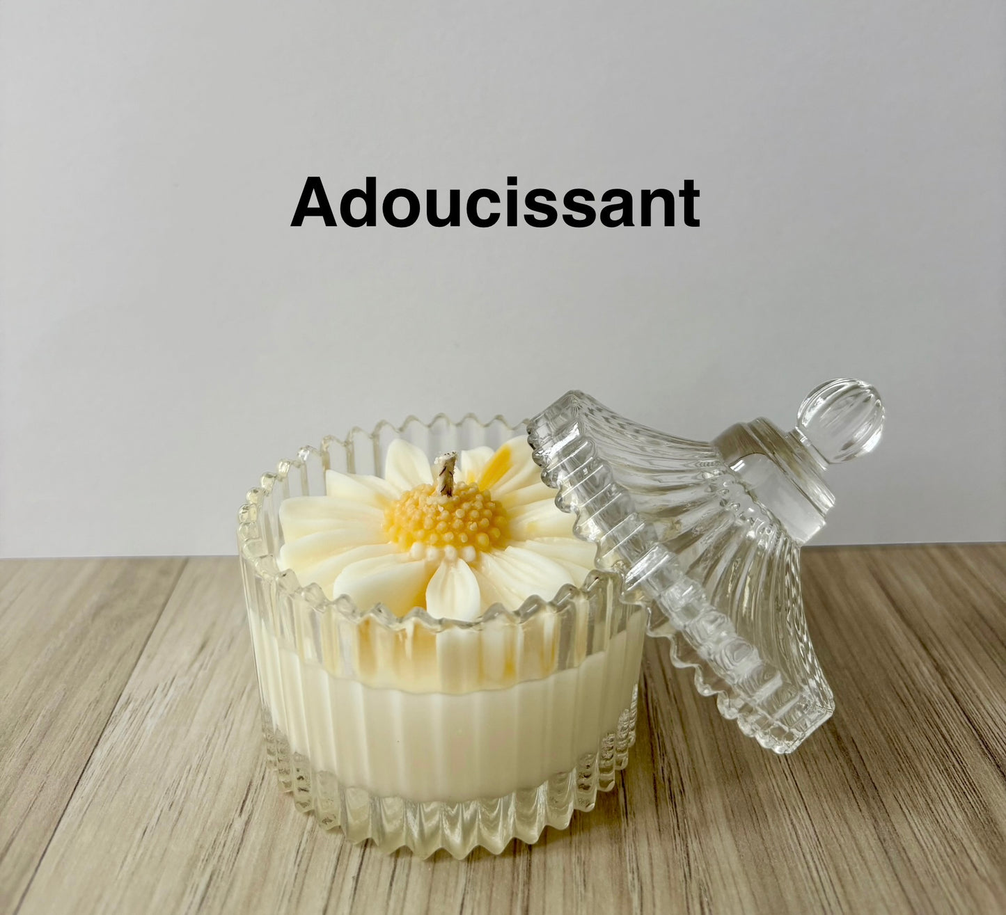 Marguerite colorée | 65g