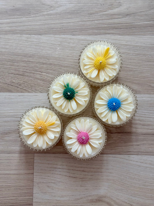 Marguerite colorée | 65g